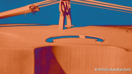 NIEUW - Viola da gamba: koningin der instrumenten